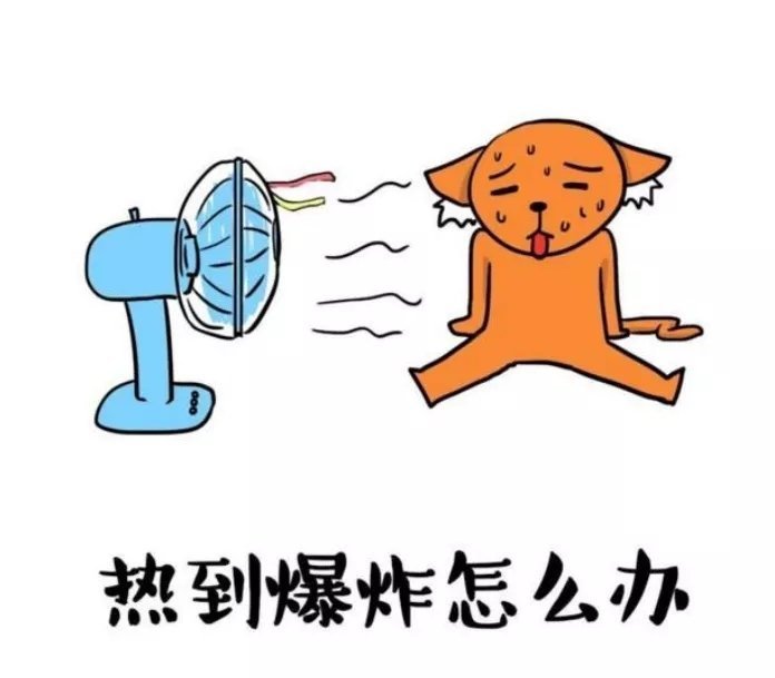 夏日防暑小妙招