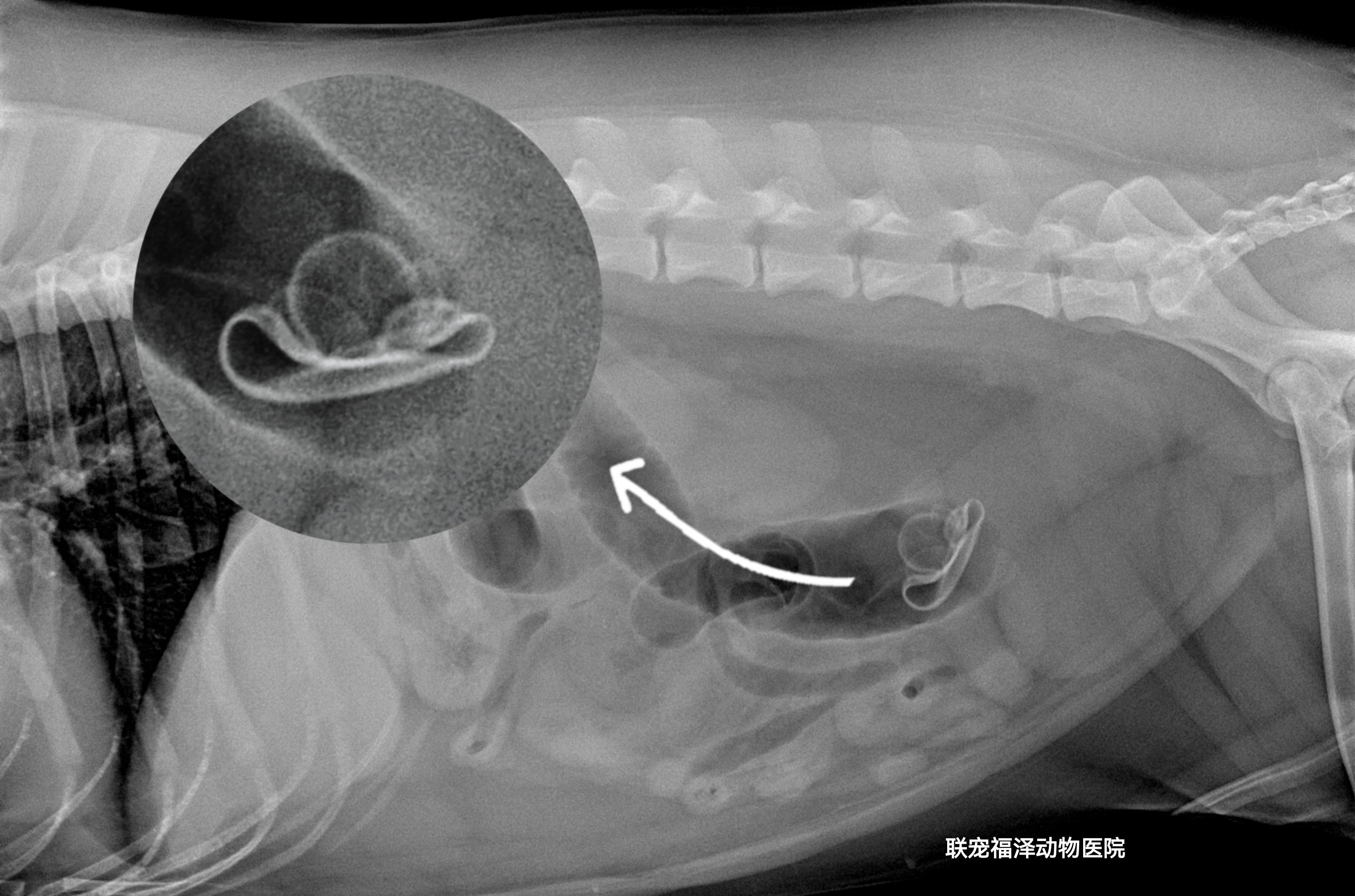 微信圖片_20210814165542